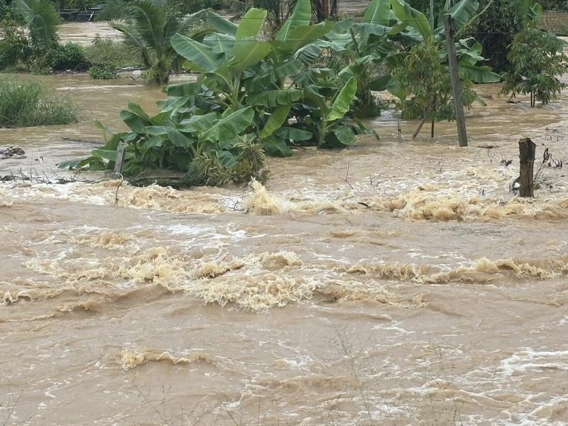 ภาพประกอบที่ 8