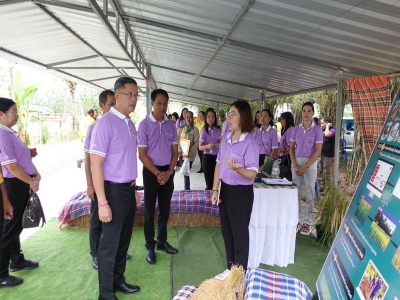 ภาพประกอบที่ 17