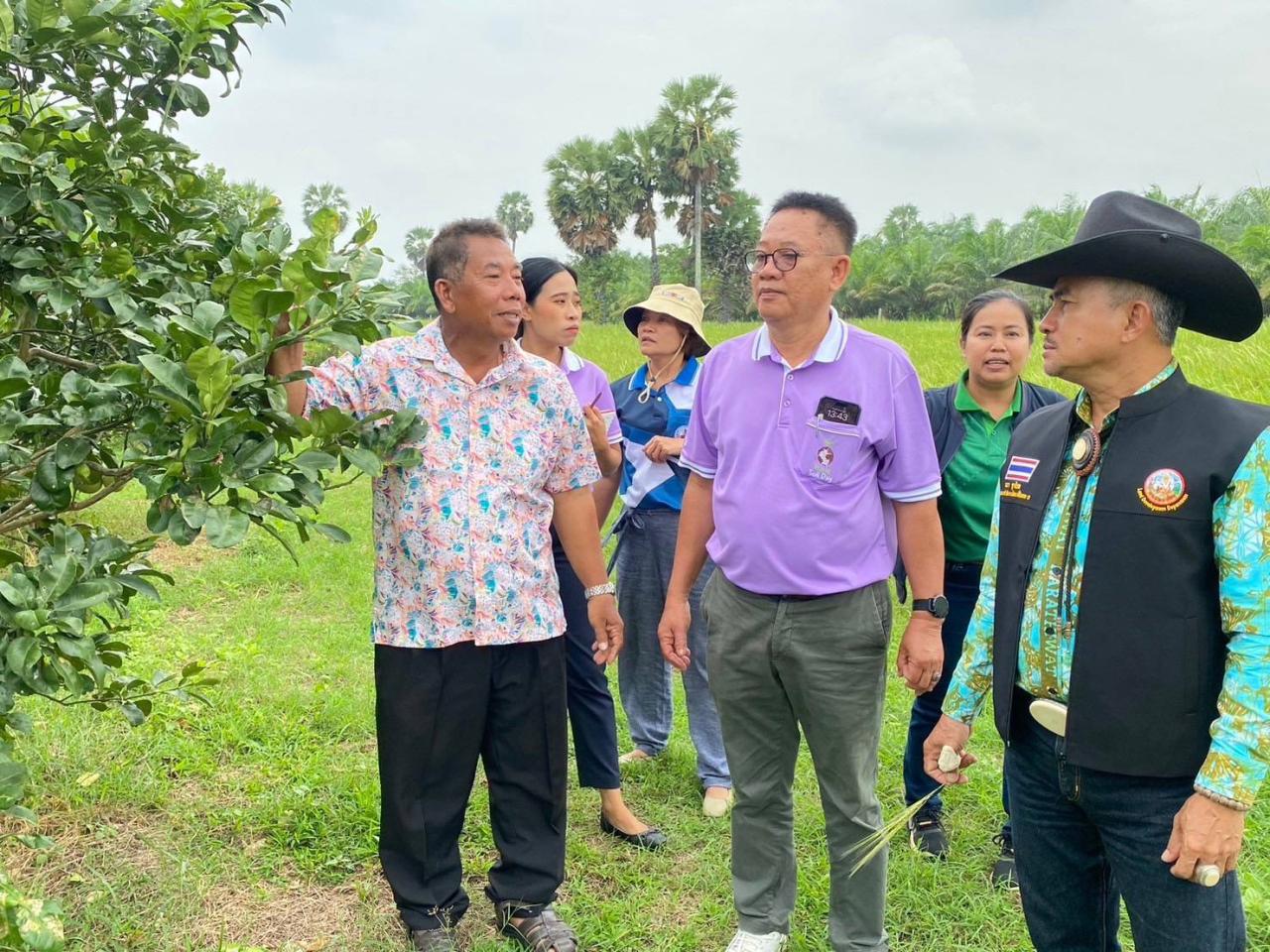 ภาพประกอบที่ 2