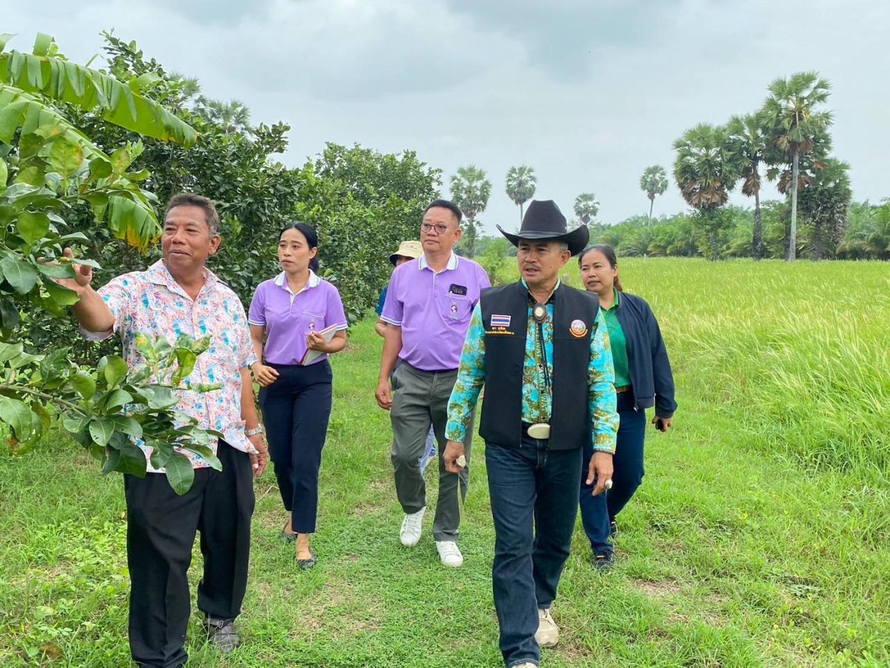 ภาพประกอบที่ 3