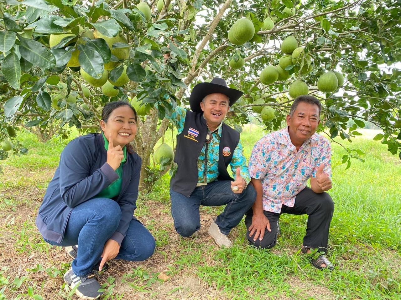 ภาพประกอบที่ 4