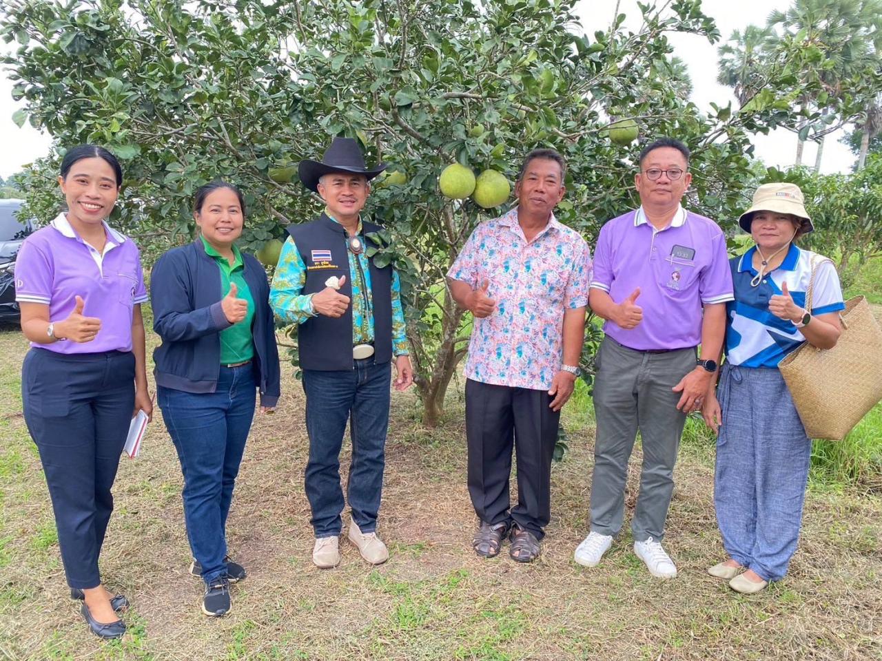 ภาพประกอบที่ 5