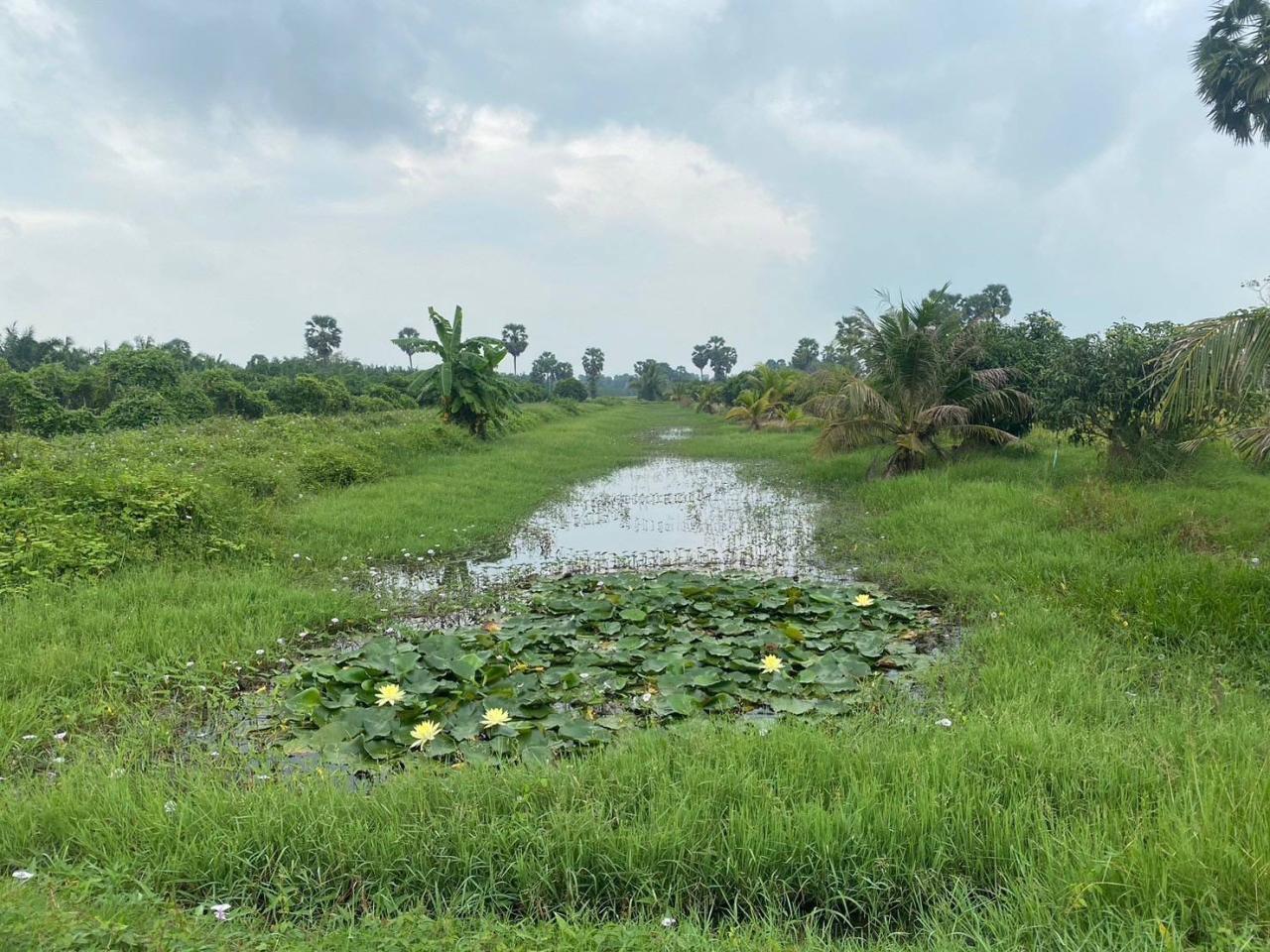 ภาพประกอบที่ 8