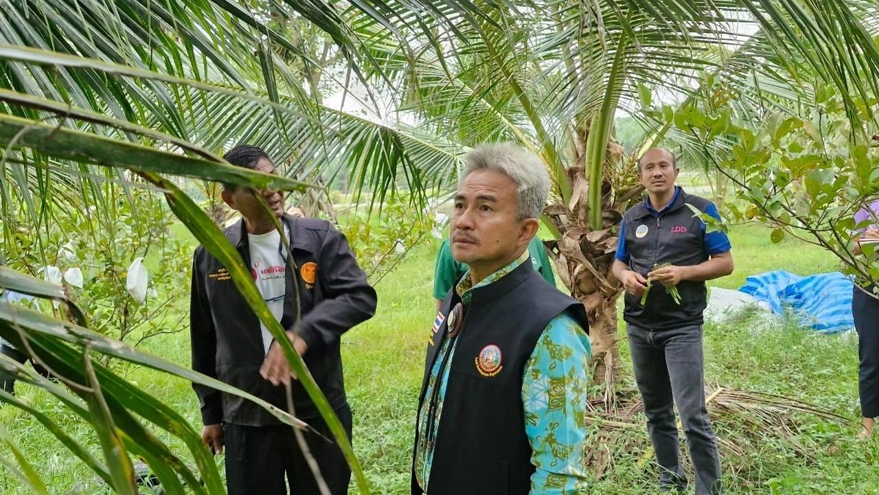 ภาพประกอบที่ 3