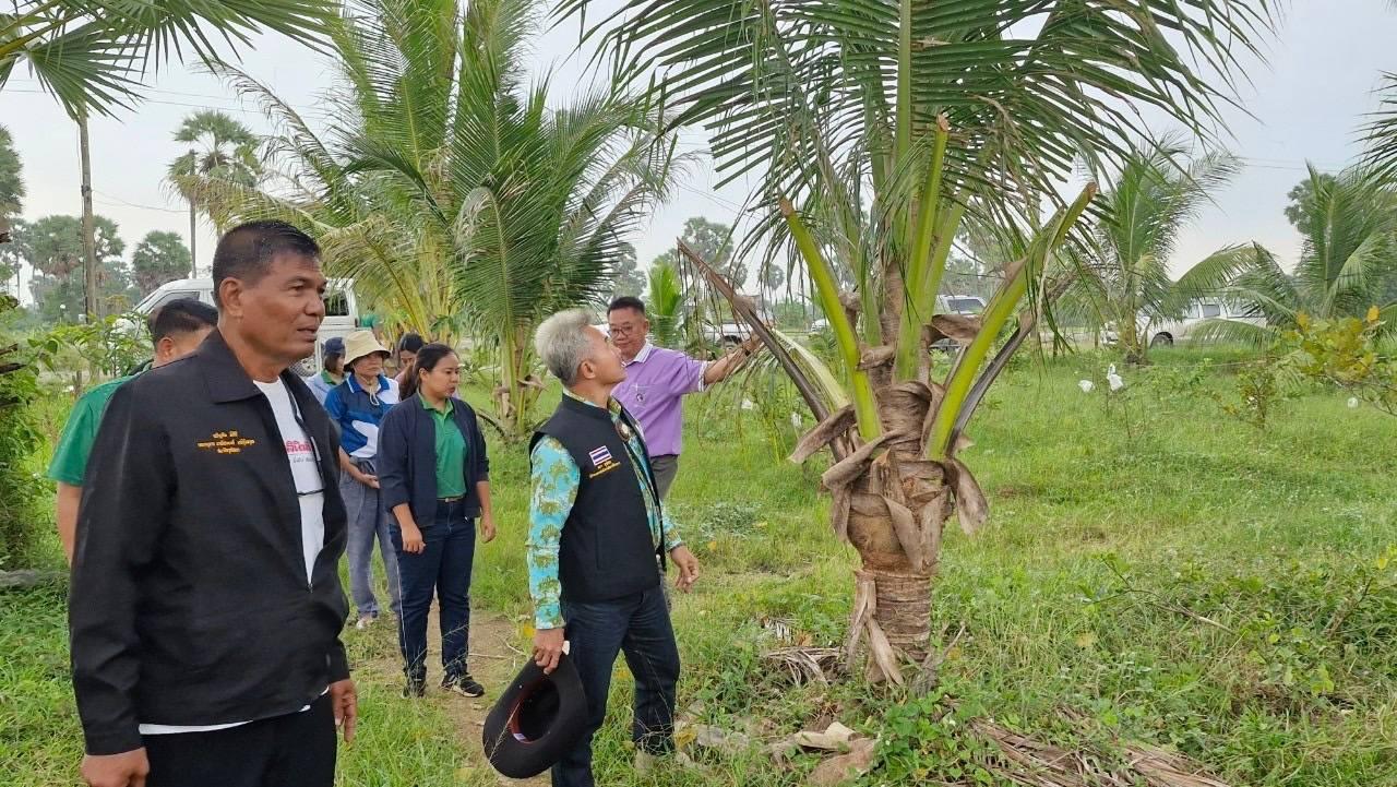 ภาพประกอบที่ 4