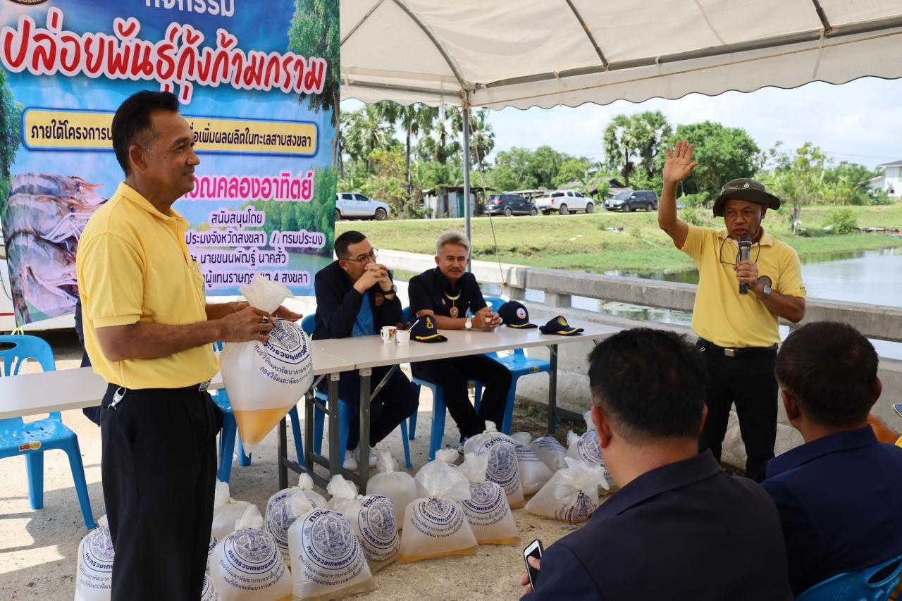 ภาพประกอบที่ 5