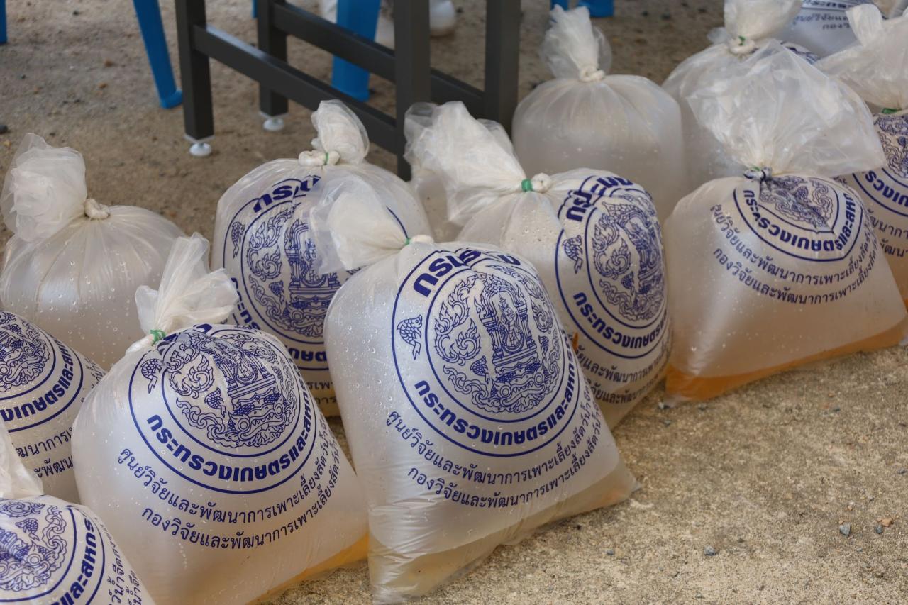 ภาพประกอบที่ 6