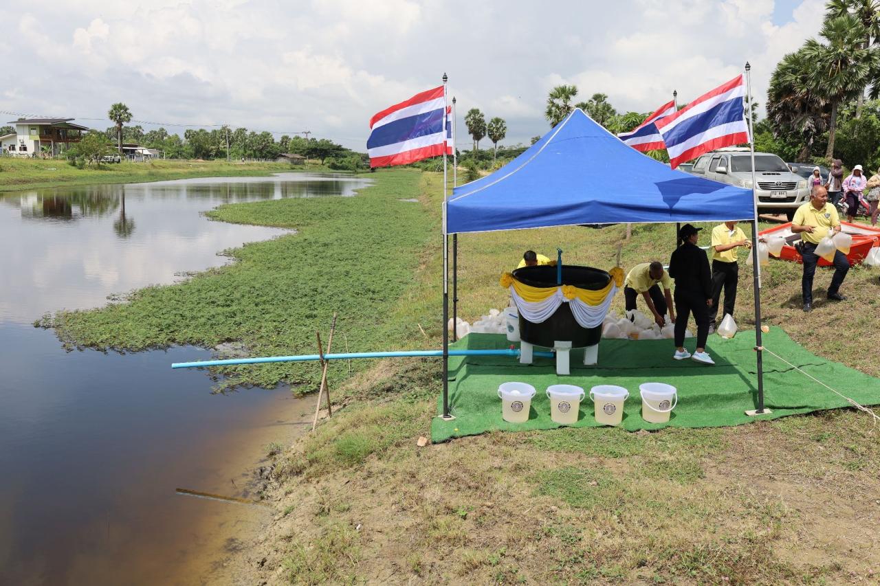 ภาพประกอบที่ 7