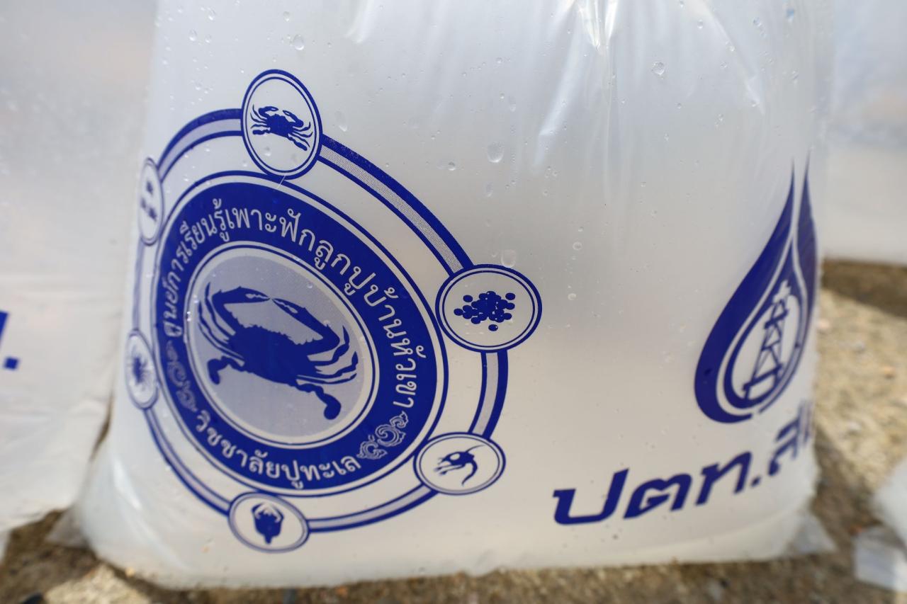 ภาพประกอบที่ 11