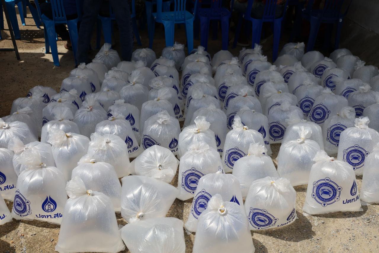 ภาพประกอบที่ 12