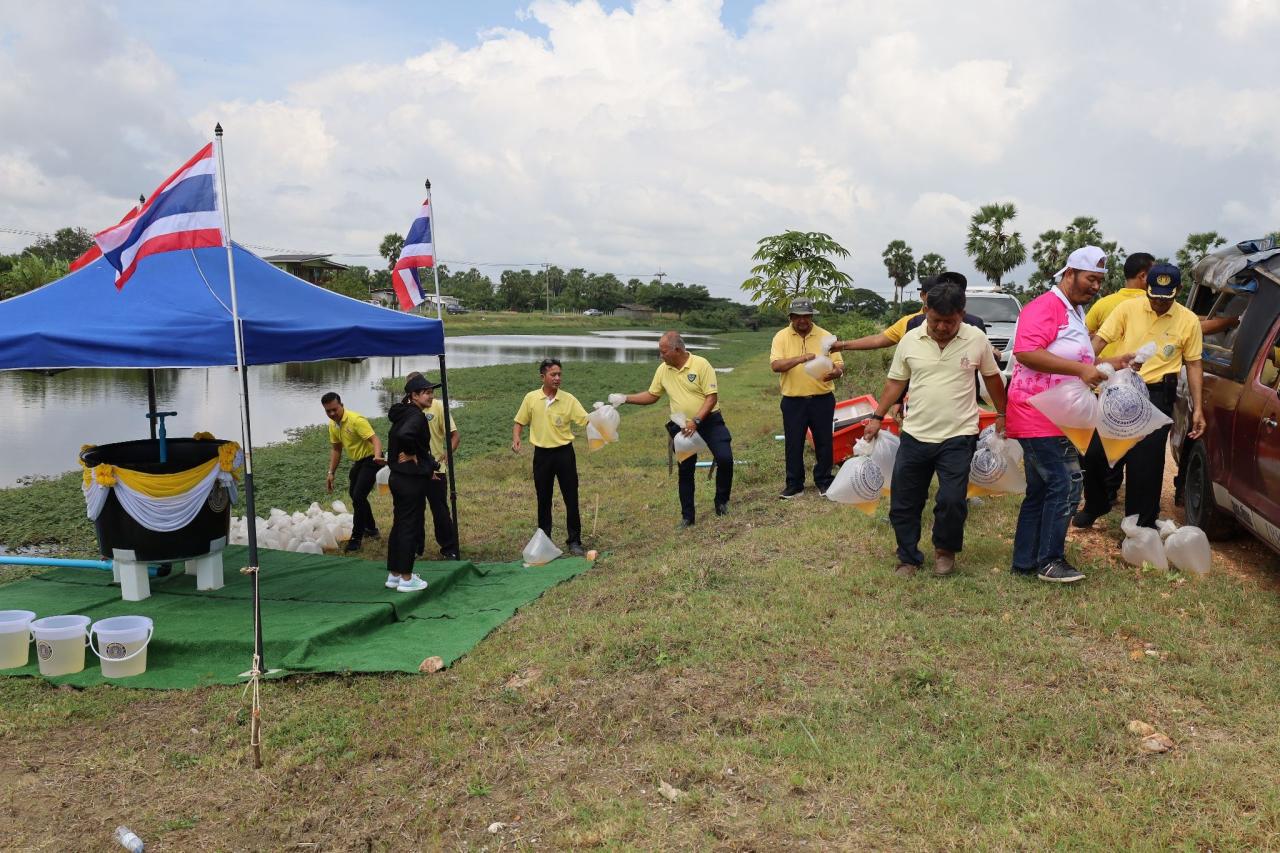 ภาพประกอบที่ 13
