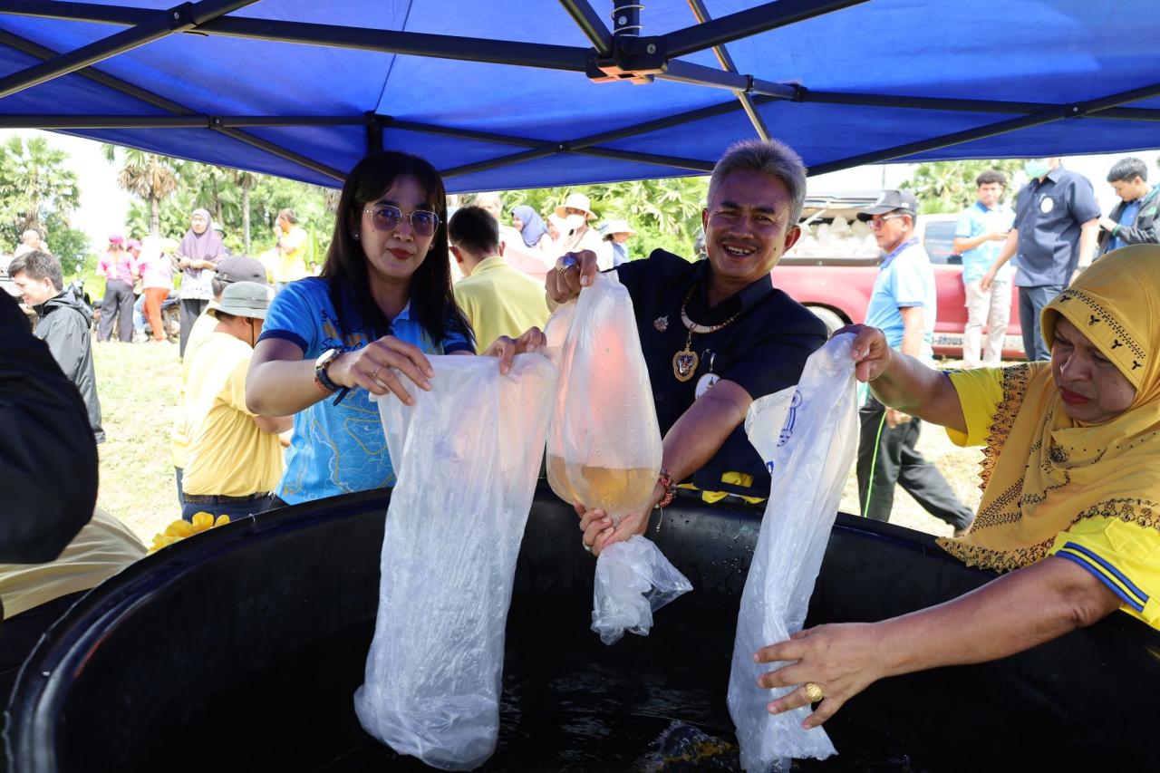 ภาพประกอบที่ 17