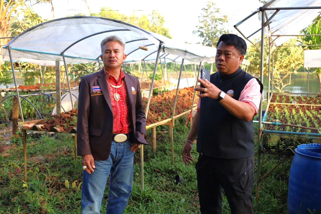 ภาพประกอบที่ 0