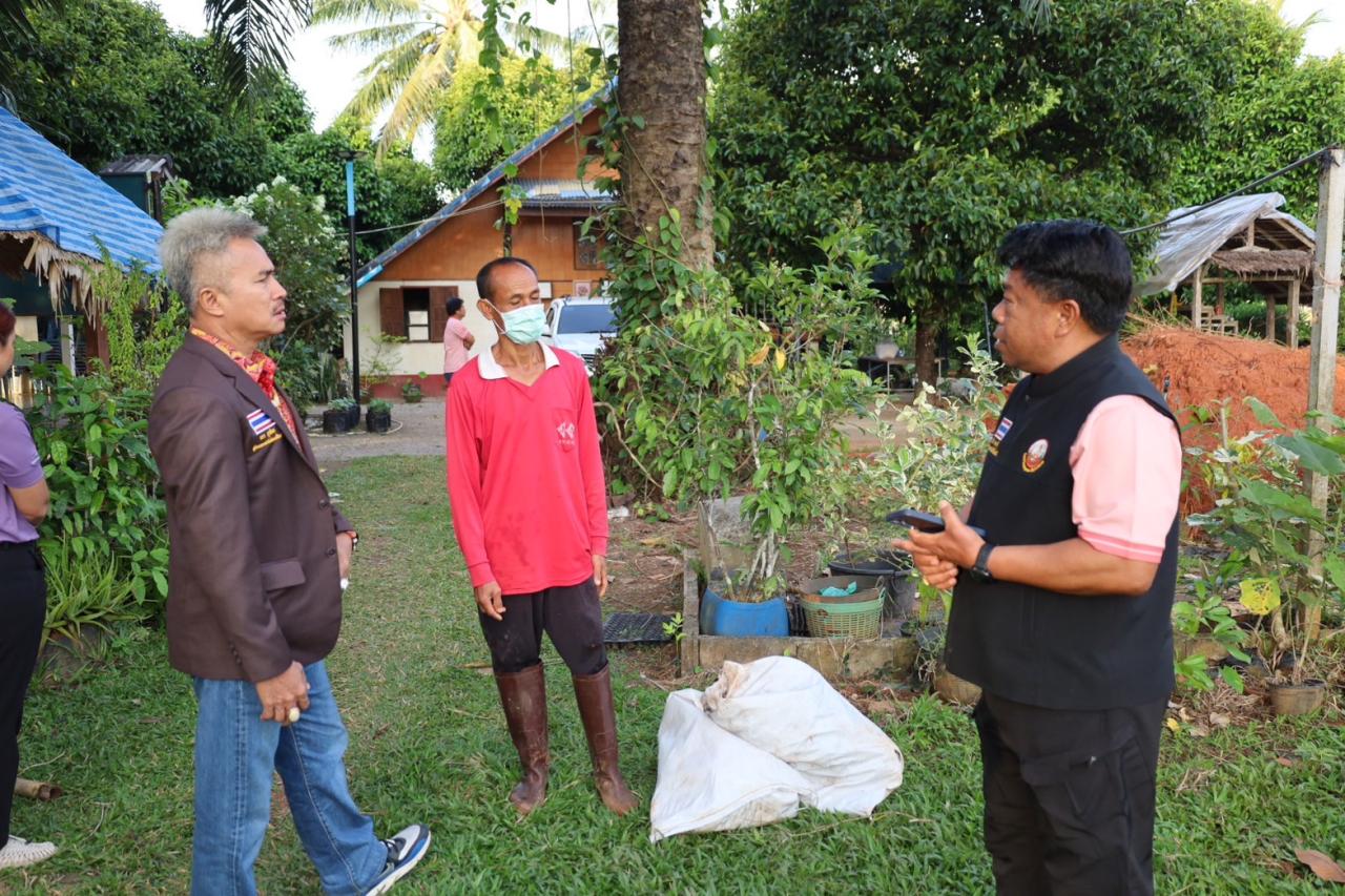 ภาพประกอบที่ 2