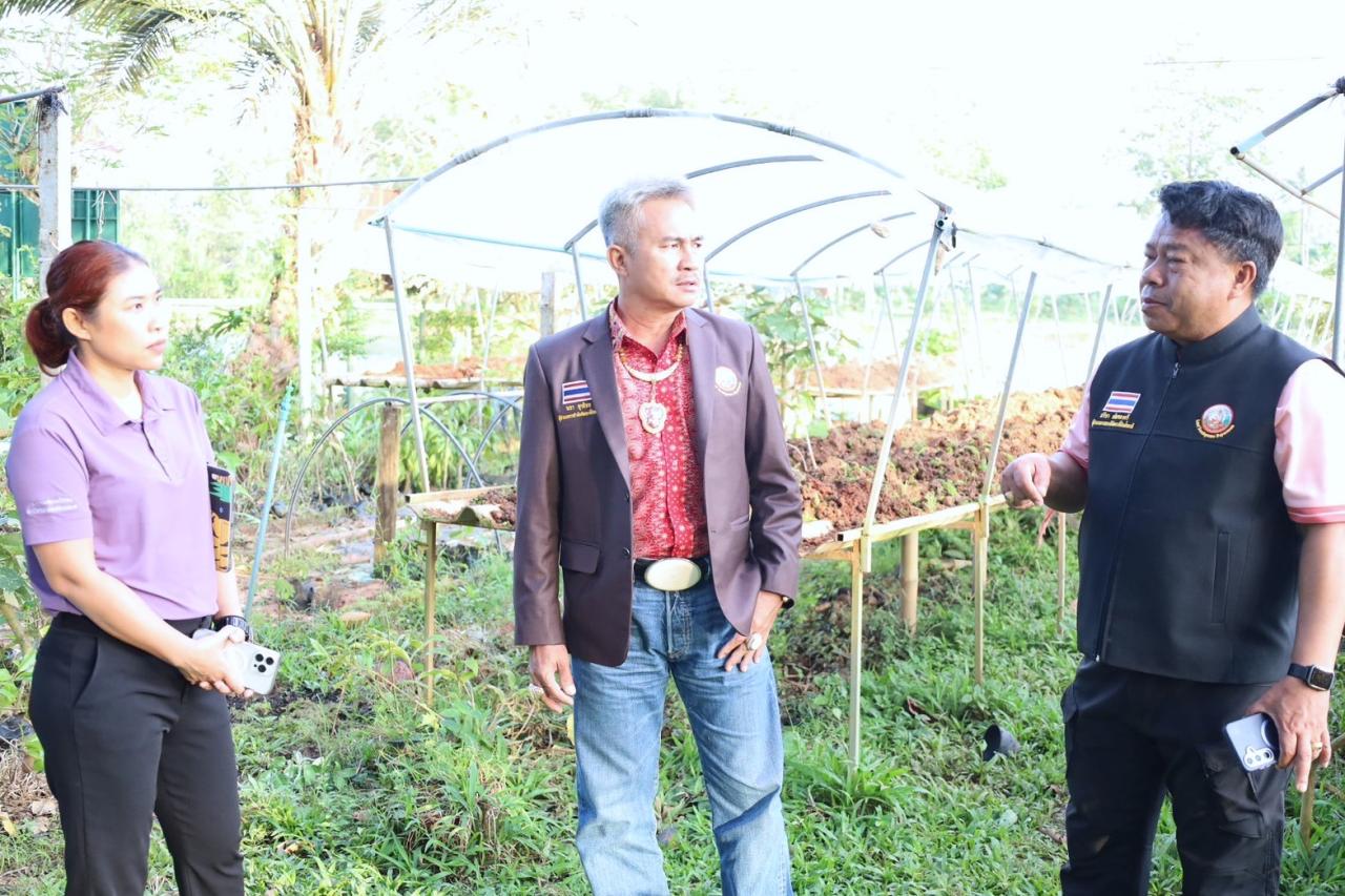 ภาพประกอบที่ 4