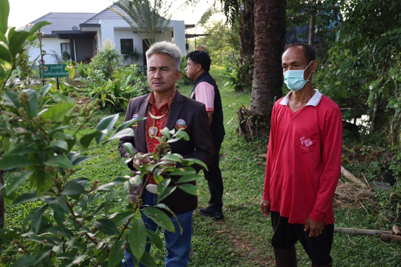 ภาพประกอบที่ 5