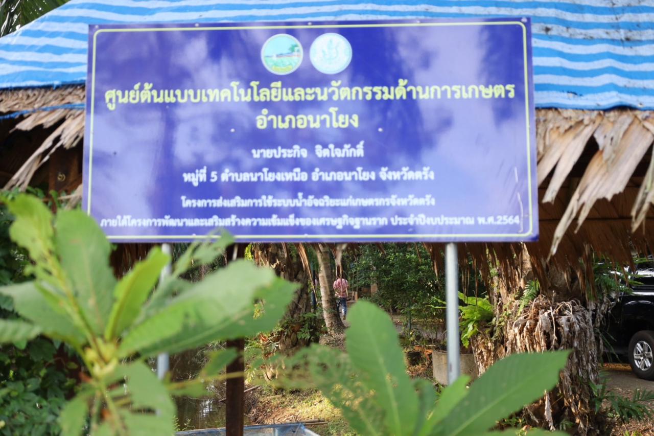 ภาพประกอบที่ 7