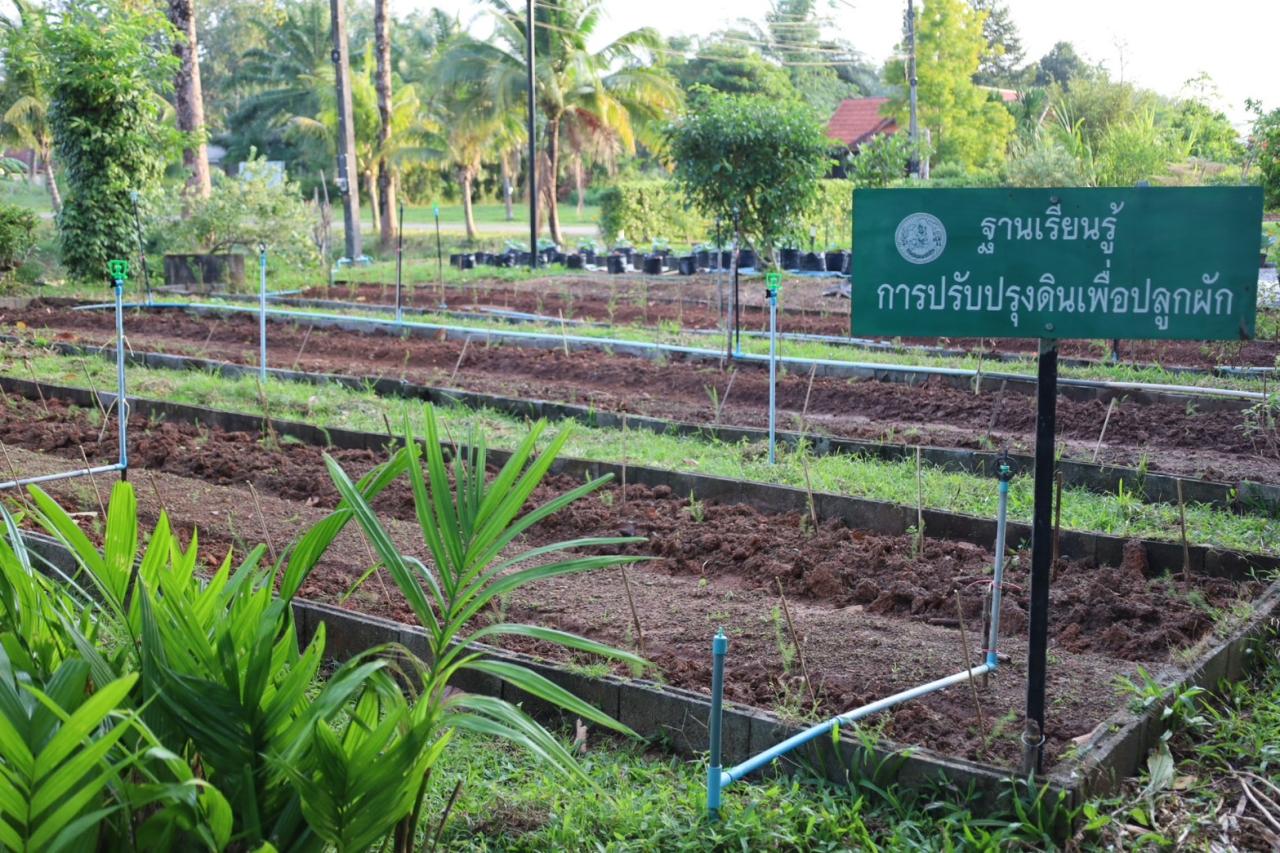 ภาพประกอบที่ 8