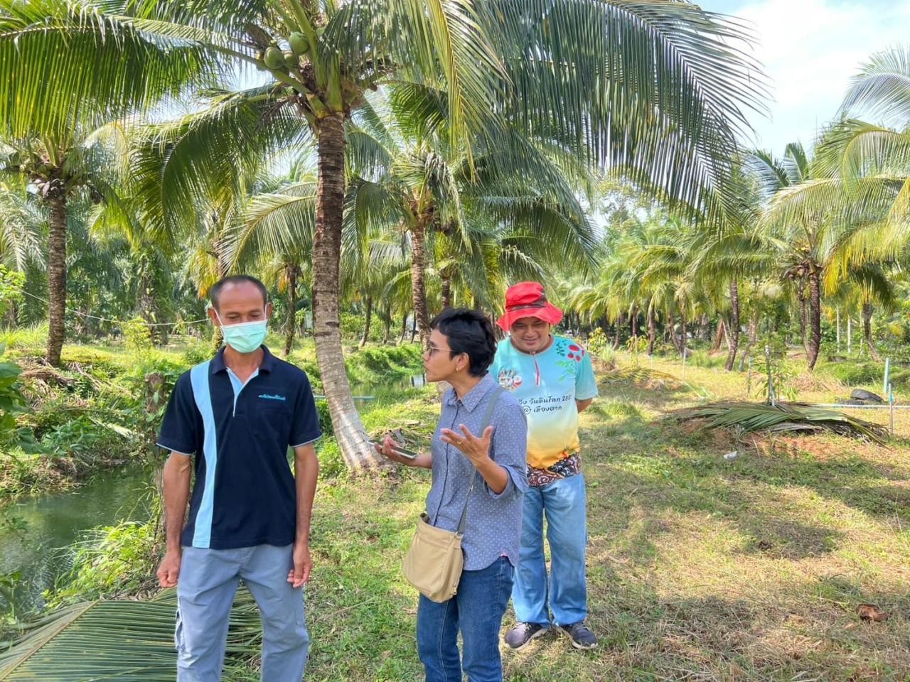 ภาพประกอบที่ 6