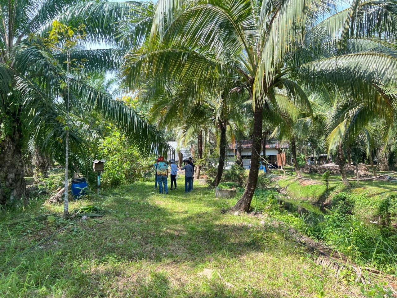 ภาพประกอบที่ 7