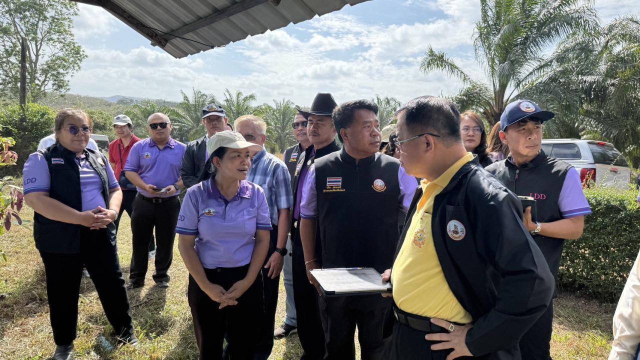 ภาพประกอบที่ 0