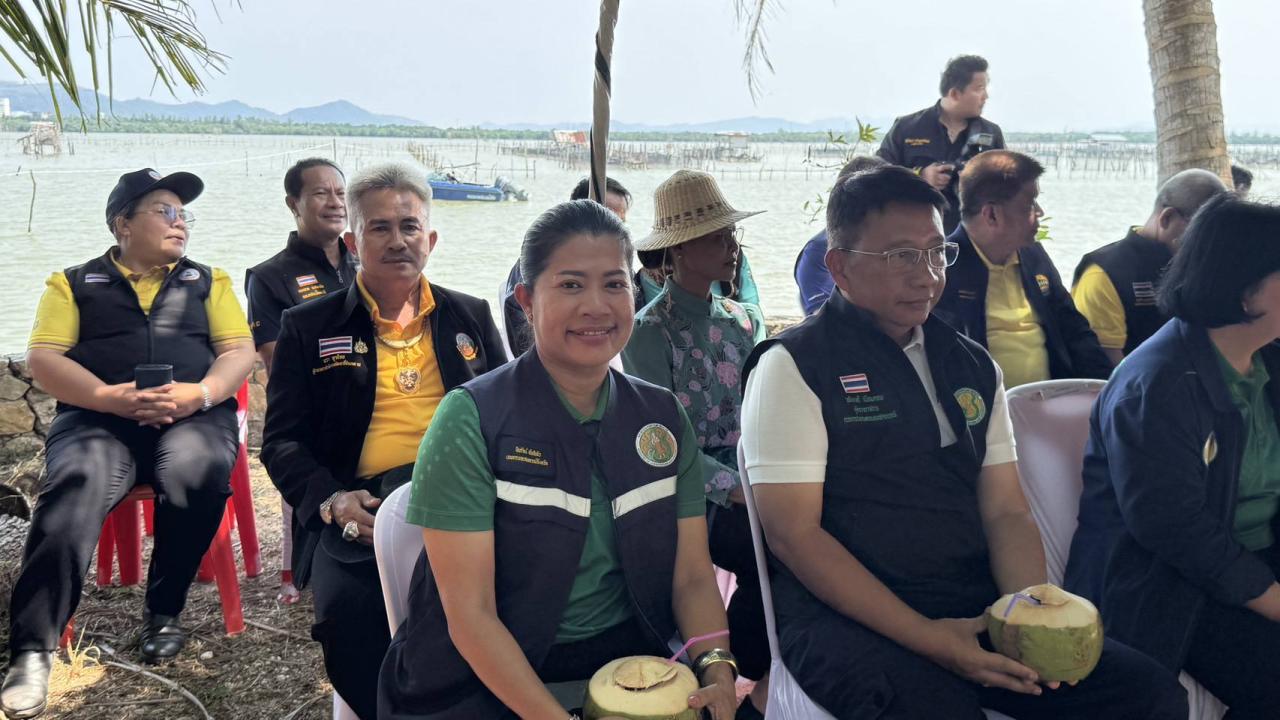 ภาพประกอบที่ 0