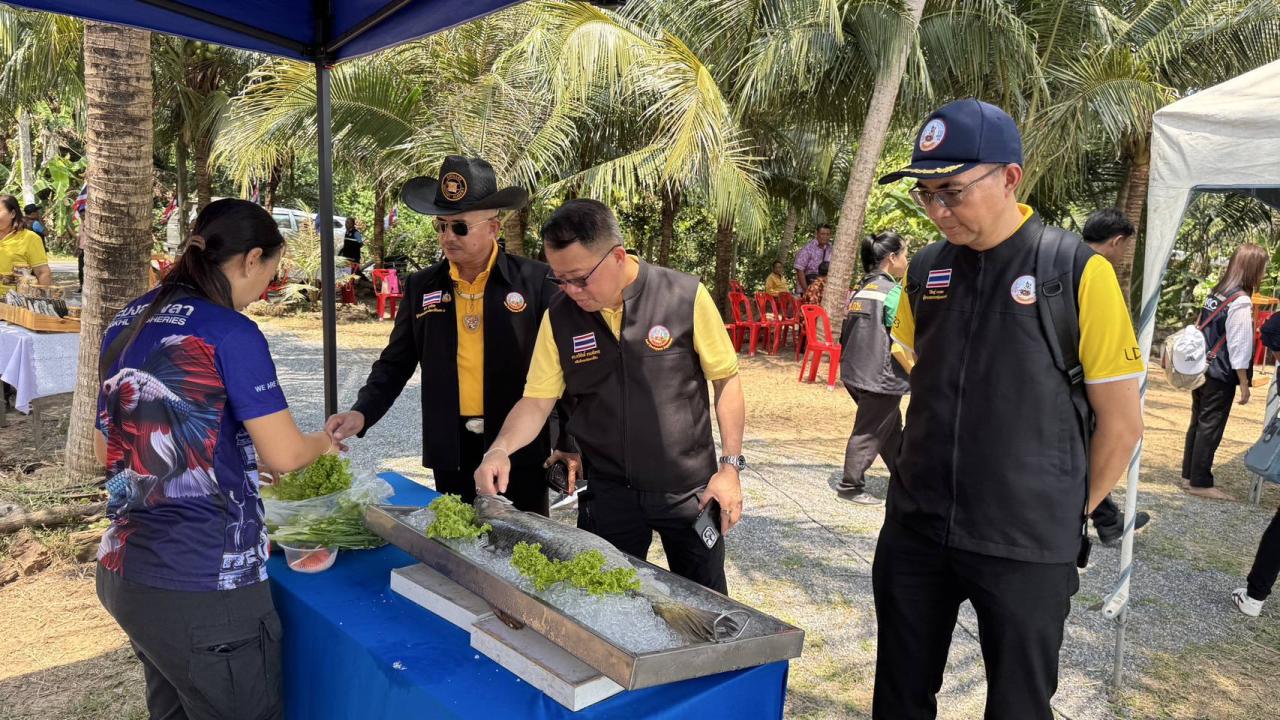 ภาพประกอบที่ 3