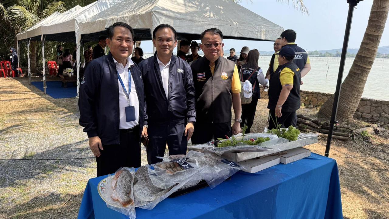 ภาพประกอบที่ 4