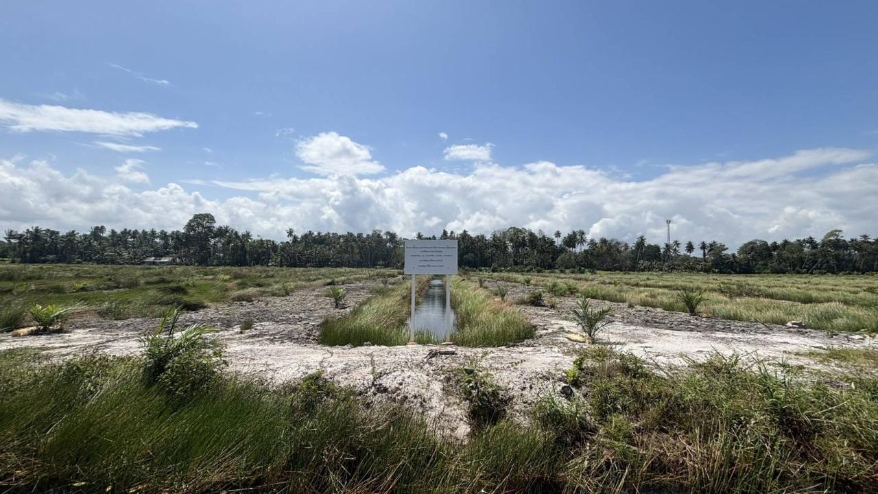 ภาพประกอบที่ 3