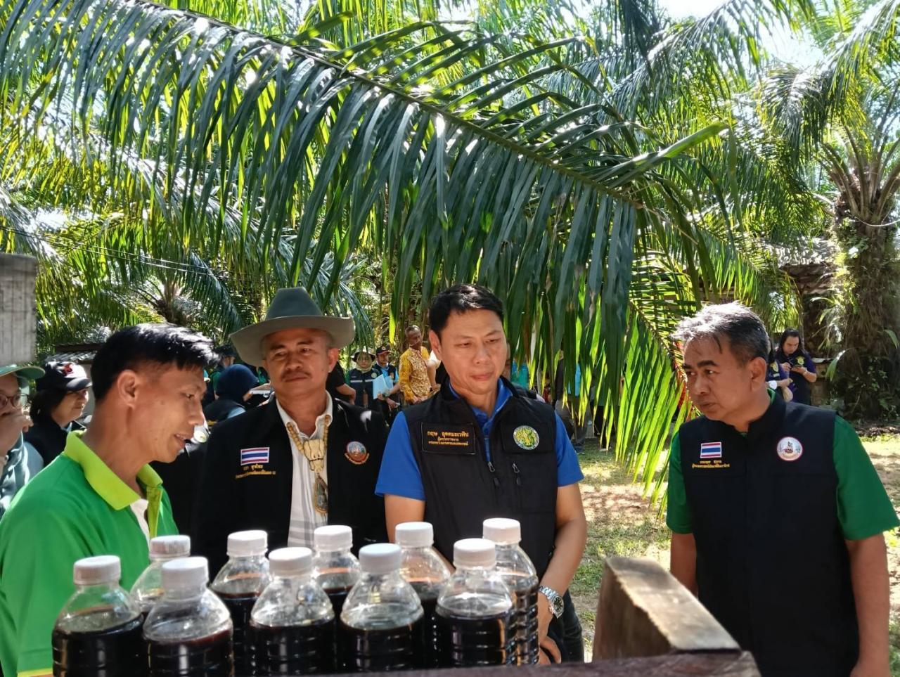 ภาพประกอบที่ 5