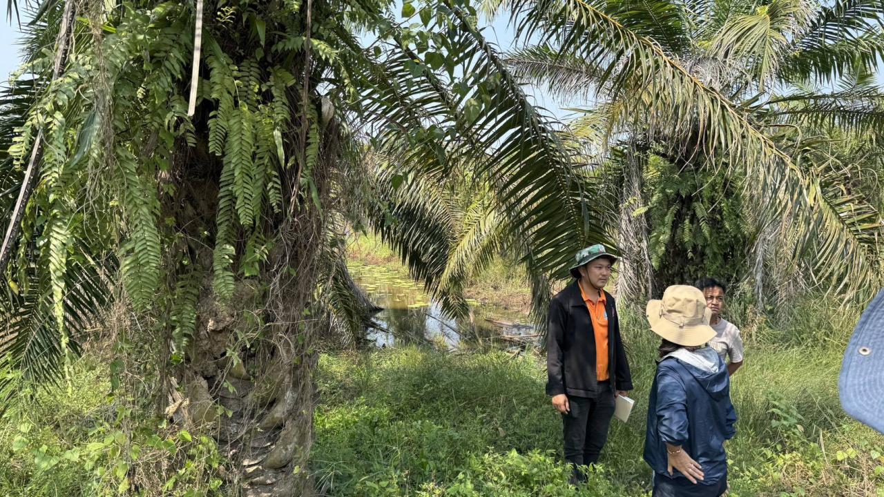 ภาพประกอบที่ 4