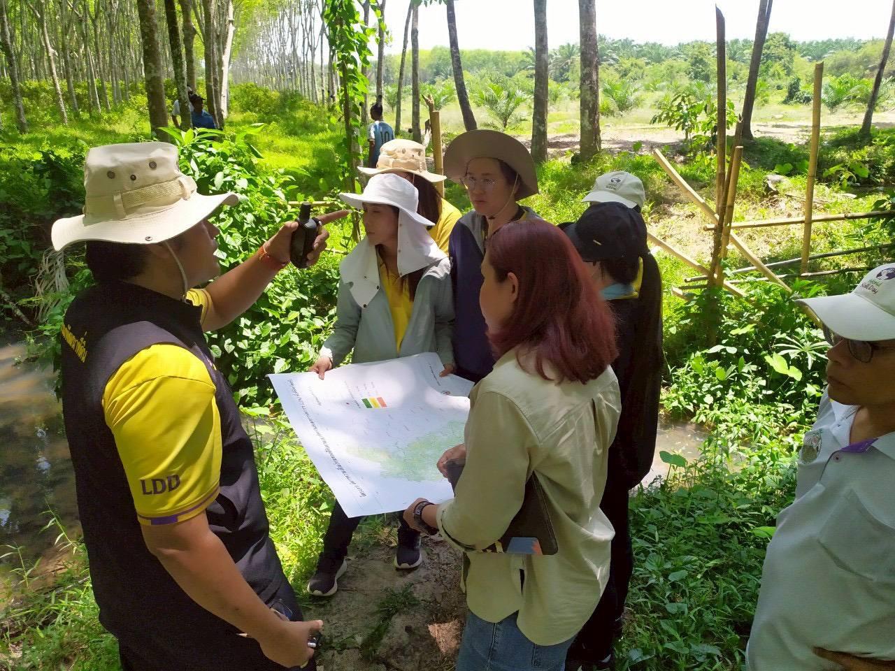 ภาพประกอบที่ 4