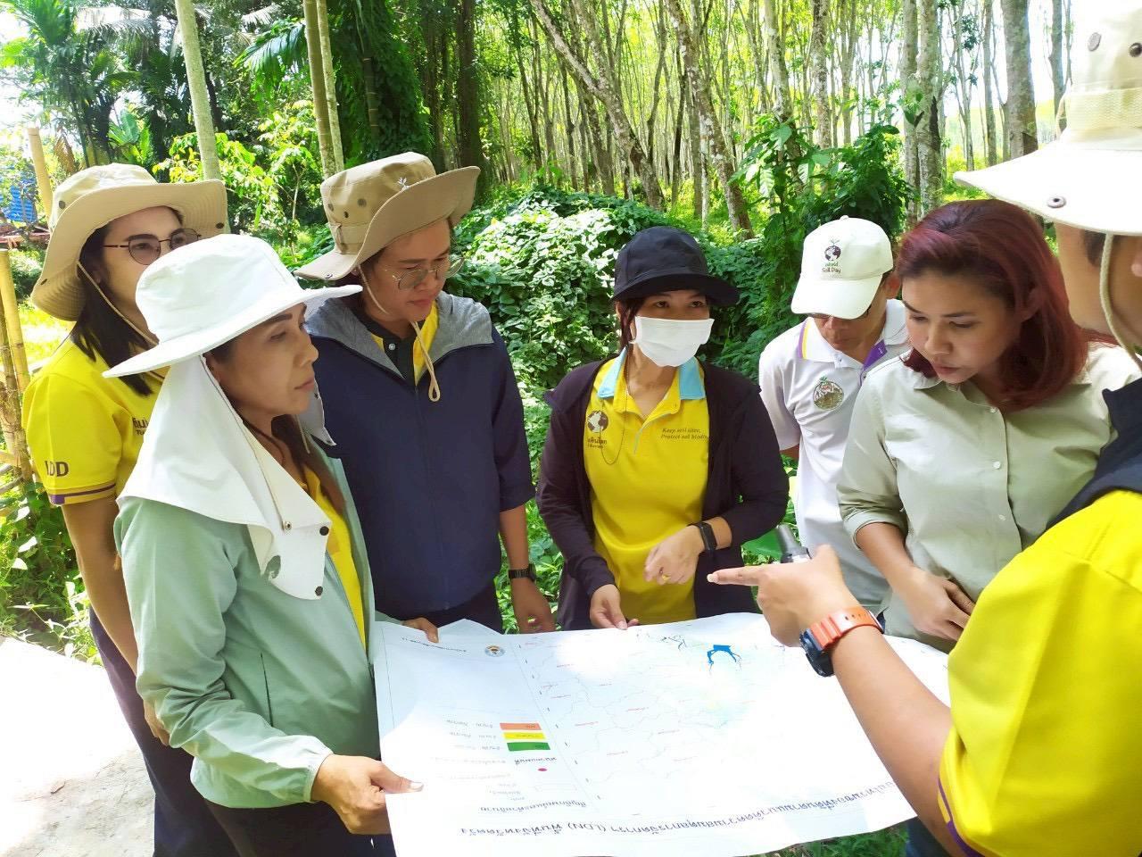 ภาพประกอบที่ 5