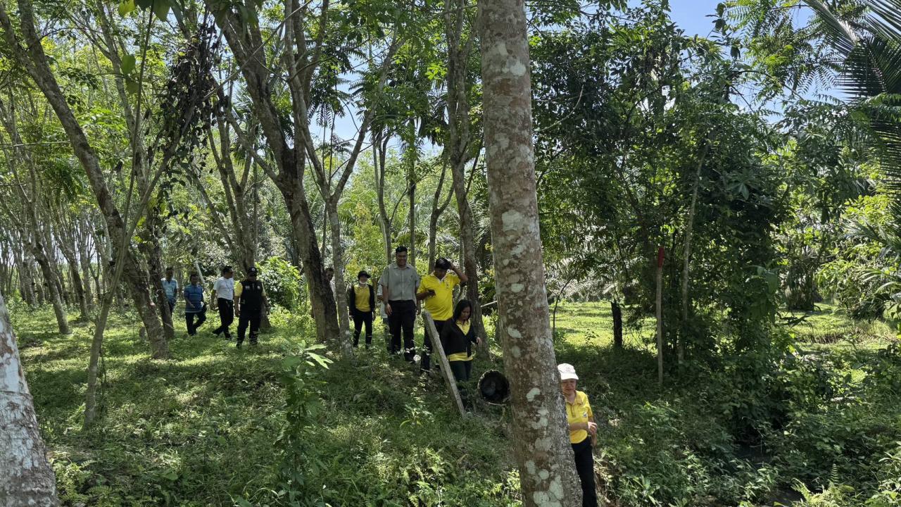 ภาพประกอบที่ 6