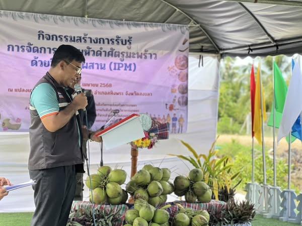 ภาพประกอบที่ 0