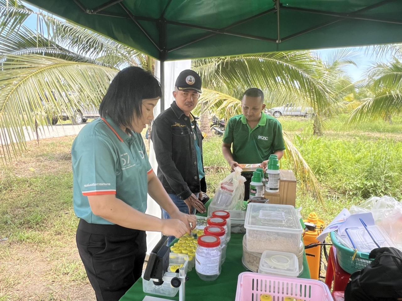 ภาพประกอบที่ 8