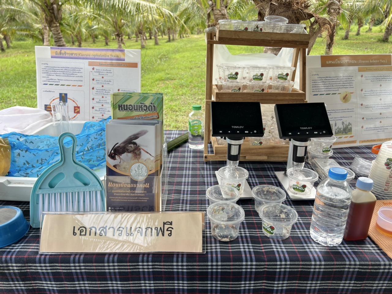 ภาพประกอบที่ 9