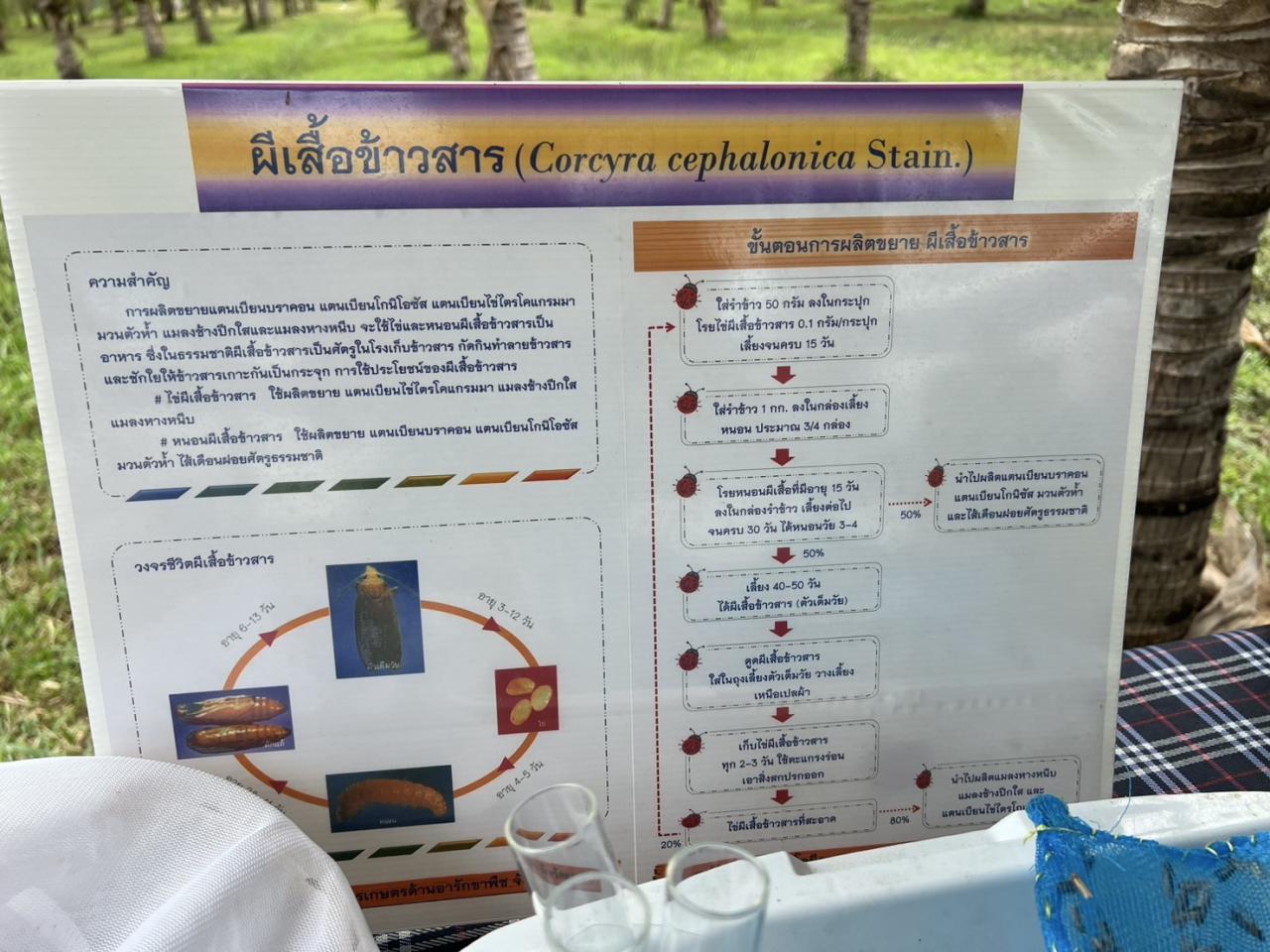 ภาพประกอบที่ 10