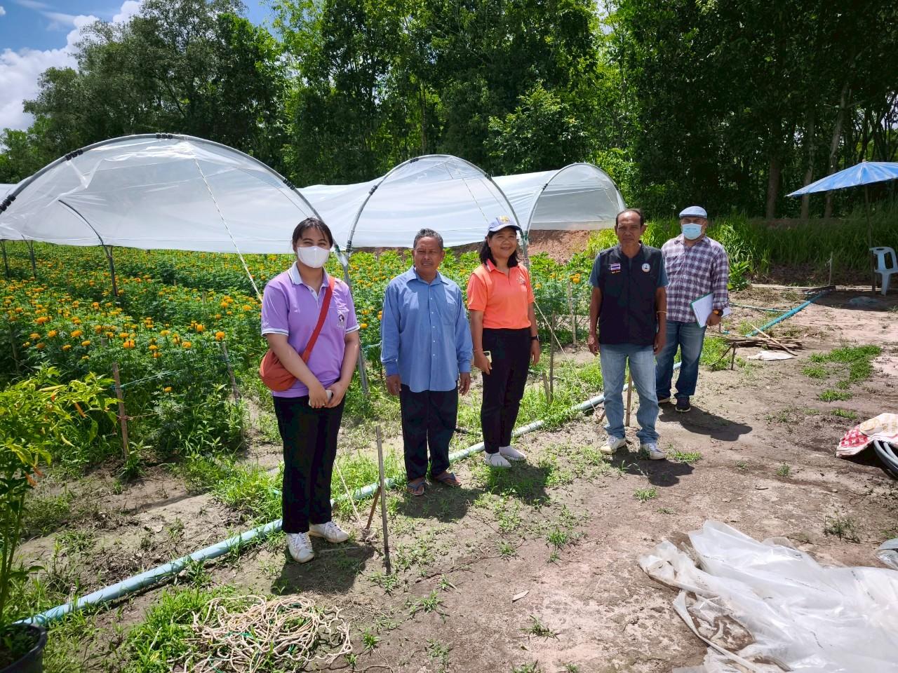 ภาพประกอบที่ 2