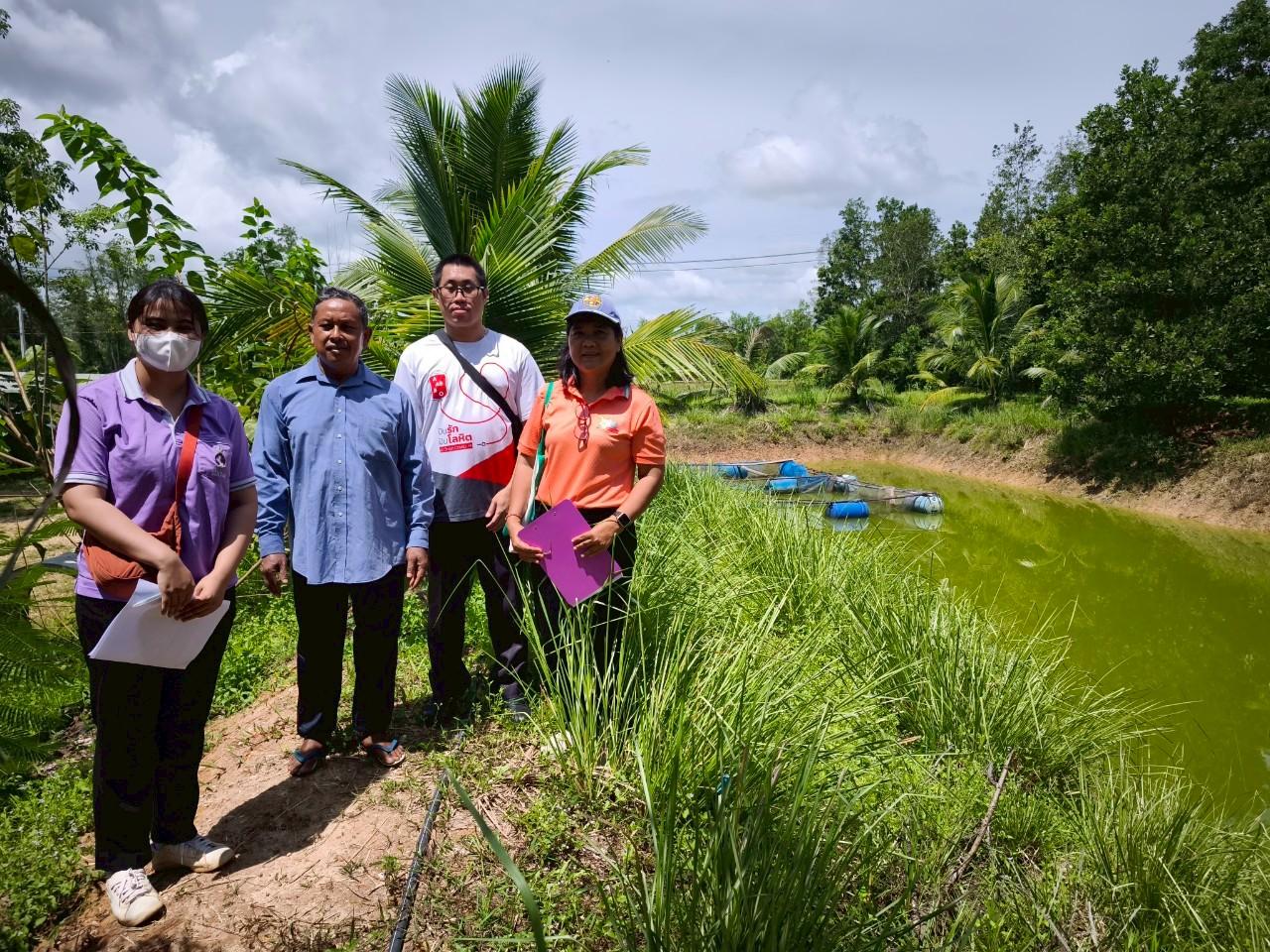 ภาพประกอบที่ 11