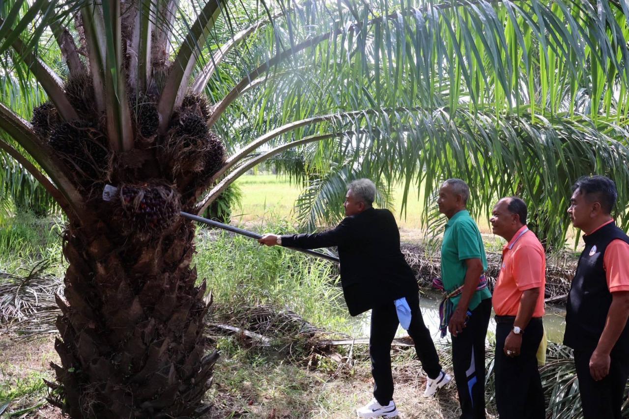 ภาพประกอบที่ 6