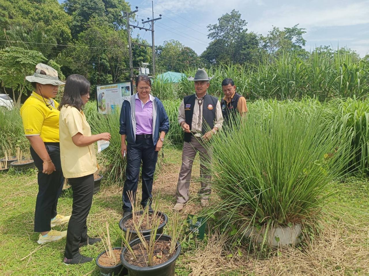 ภาพประกอบที่ 1