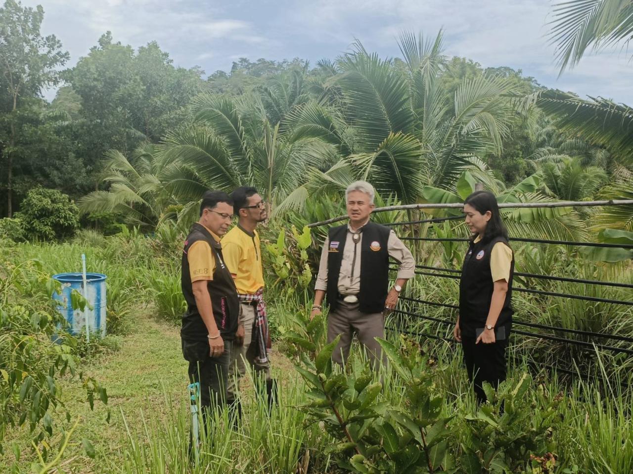ภาพประกอบที่ 4