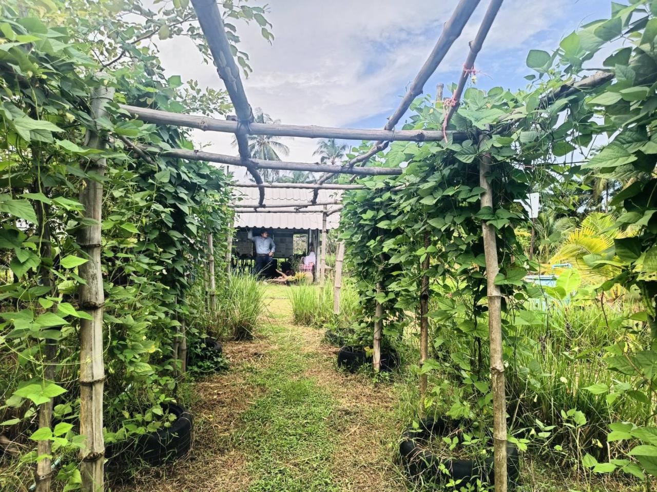 ภาพประกอบที่ 8