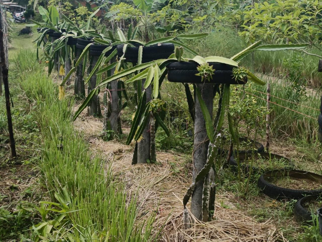 ภาพประกอบที่ 9