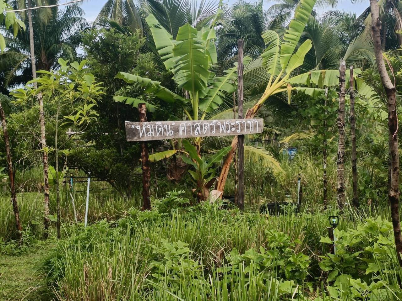 ภาพประกอบที่ 10