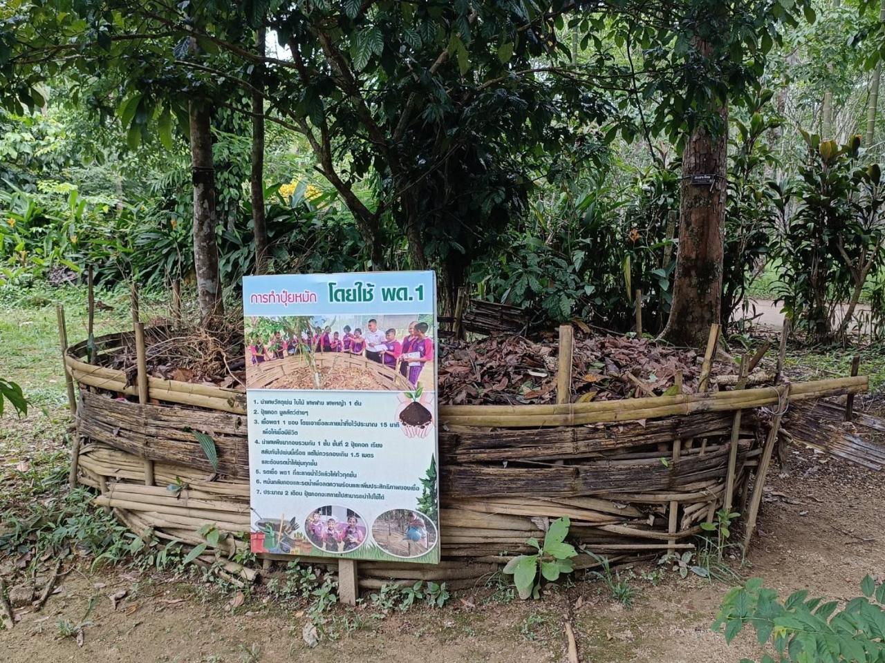 ภาพประกอบที่ 8