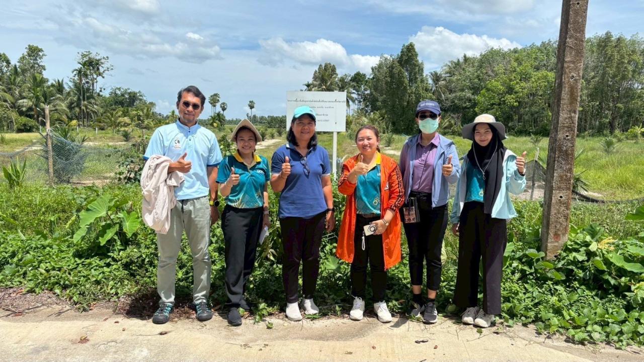 ภาพประกอบที่ 7