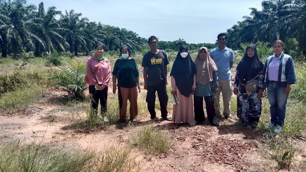 ภาพประกอบที่ 14