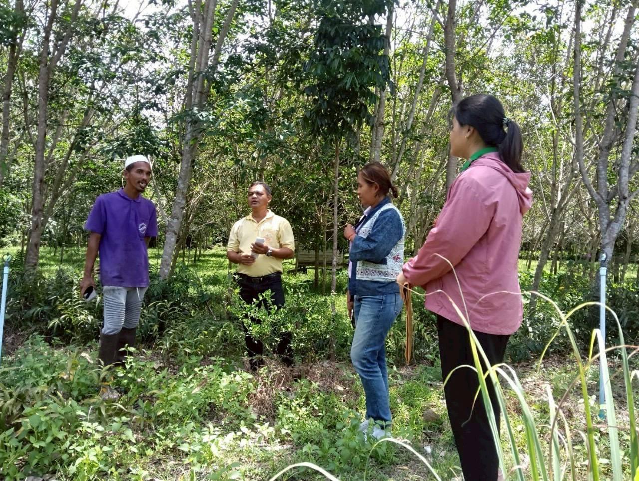 ภาพประกอบที่ 15
